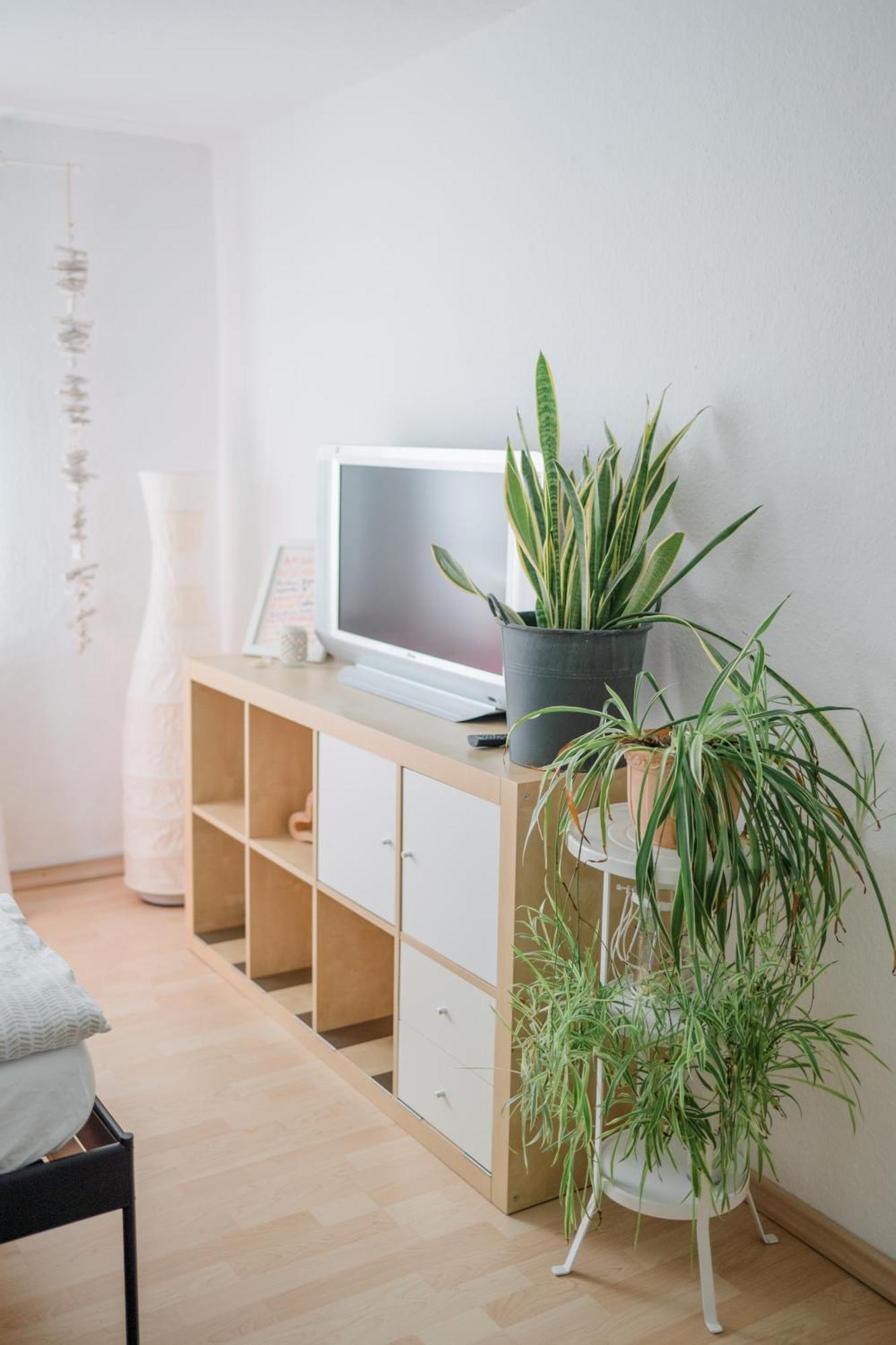 Buchlindenweg - Zimmer & Ferienwohnung Breitscheid  ภายนอก รูปภาพ